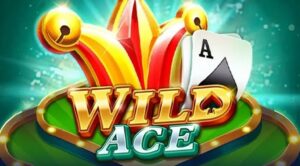 Wild ace slot