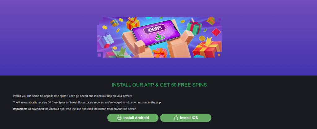 Book of Bons slots free chips