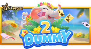 Dummy 2 slot