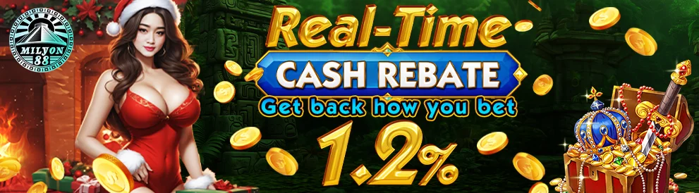 Cash Rebate Promo